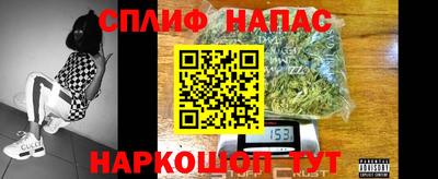 МДПВ Гусев