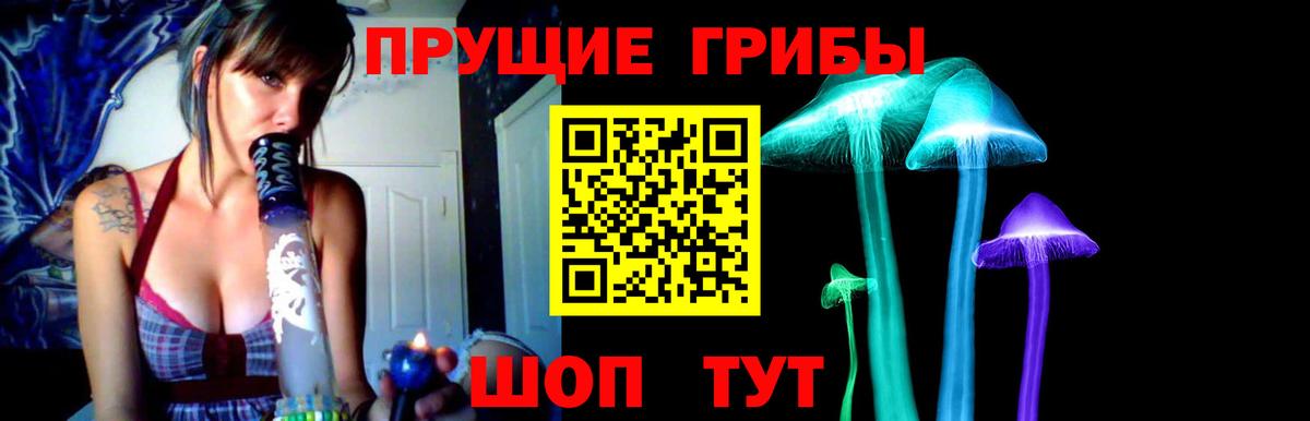 Галлюциногенные грибы ЛСД Новоалександровск